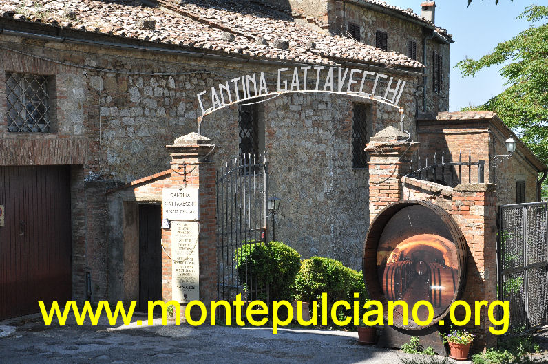 Cantina Gattavecchi