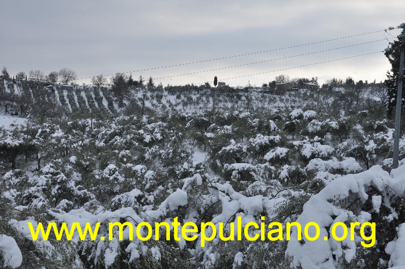 Montepulciano sotto la neve